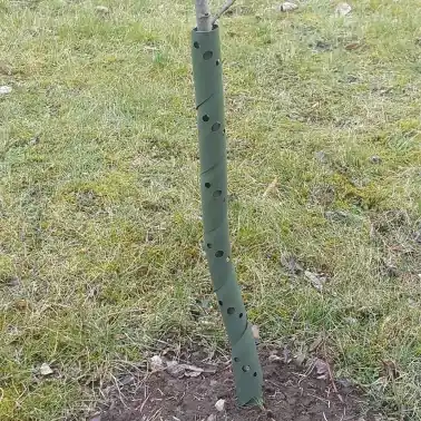 Efterfrågad | GROWtect skyddsspiraler för vilda djur, 60 cm, grön, 100 st