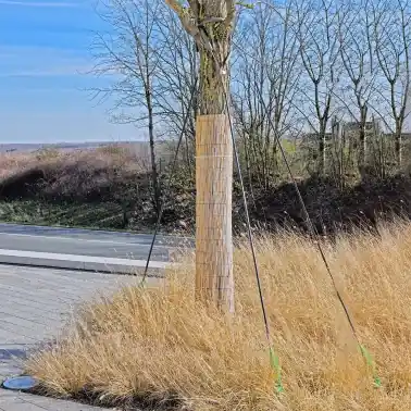 Nytt lägre pris | GROWtect reed mats 200, 2 x 6 m