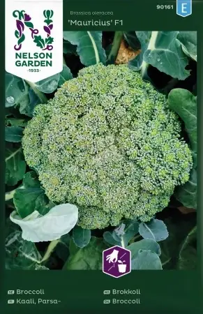Kampanj | Broccoli ‘Mauricius‘ F1