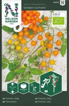 Kundernas favorit - Vinbärstomat ‘Golden Currant‘ EKO
