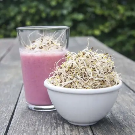 Superpris | Sproutly EKO Fänkålsfrön 80g