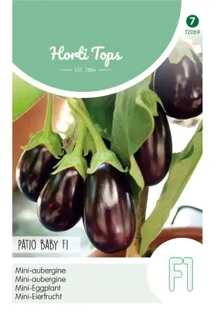 Aubergine Mini ‘Patio Baby‘ F1 - Finns tillgänglig
