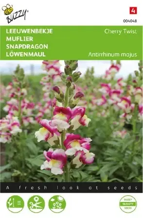 Lejongap ‘Cherry Twist‘ | Ny lansering