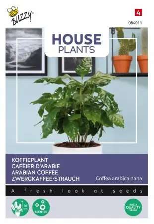 Inomhusväxt Kaffeplanta ‘Arabian Coffee‘ - Trygg betalning