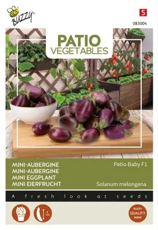 Hög kvalitet - Aubergine Mini ‘Patio Baby‘ F1