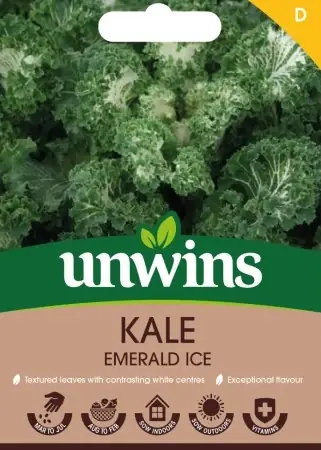 Bra pris just nu - Grönkål ‘Emerald Ice‘