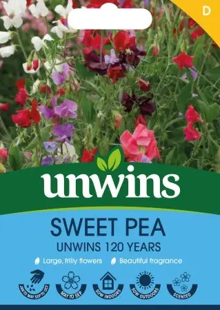 Luktärt ‘Unwins 120 Years‘ | Klar att skickas