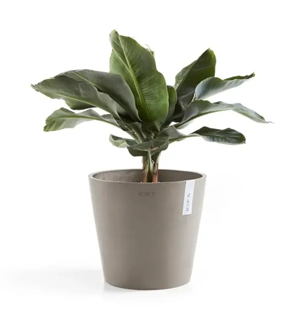 Kruka ‘Amsterdam 30‘ Taupe D30cm | Köp idag