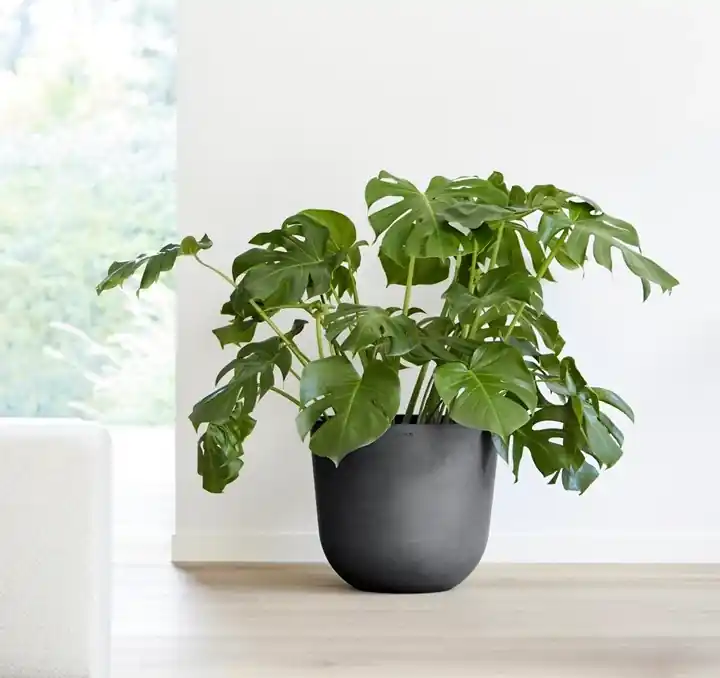 Kruka ‘Oslo 45‘ Dark Grey D45cm | Nyhet hos oss