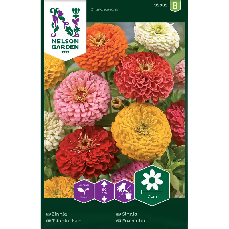 Zinnia | Försäljningssuccé
