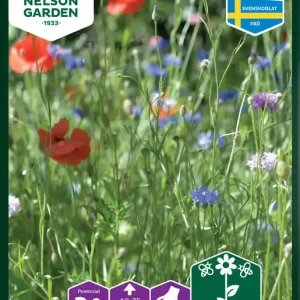 Ängsblommor mix | Hög kvalitet