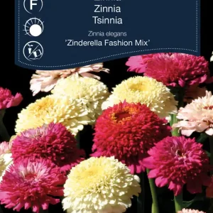 Zinnia Zinderella Fashion mix - Passa på